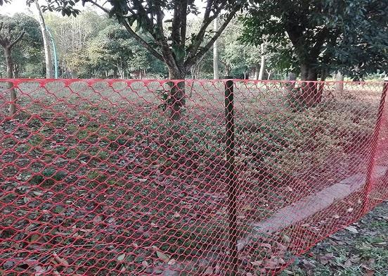 Plastic Poultry Netting - Keep Your Chickens Safe From Predators